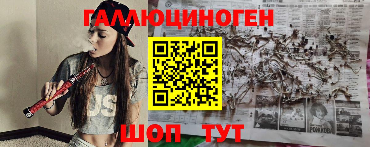 Саранск  Галлюциногенные грибы мицелий  Псилоцибиновые грибы Psilocybe  Вход с VPN 